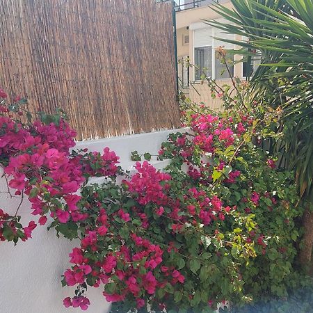 Apartment With Private Garden - Central Location Lisboa Kültér fotó