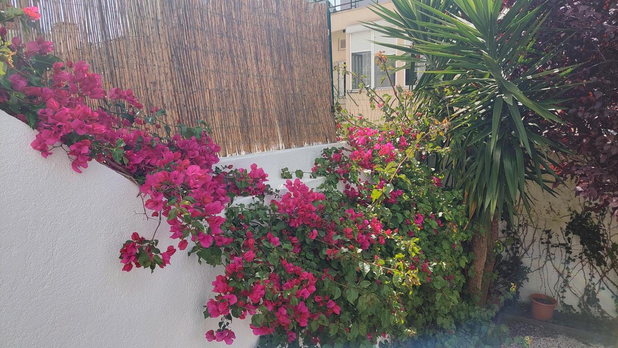 Apartment With Private Garden - Central Location Lisboa Kültér fotó